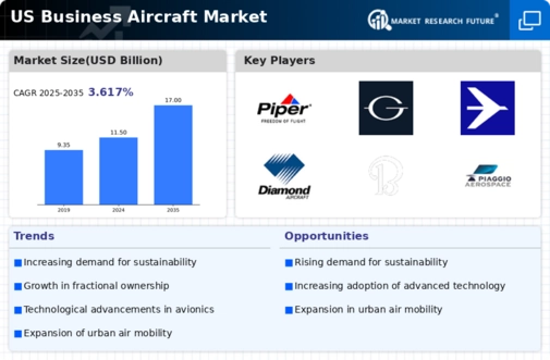 US Business Aircraft Market Infographic