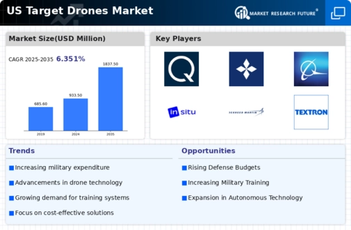 US Target Drones Market Infographic