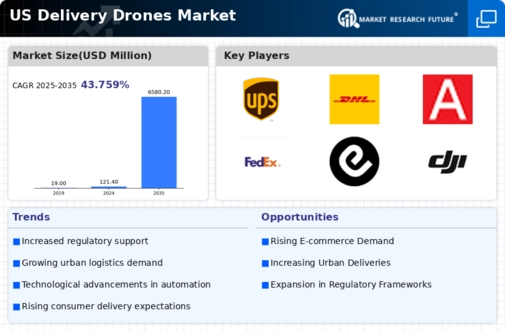 US Delivery Drones Market Infographic