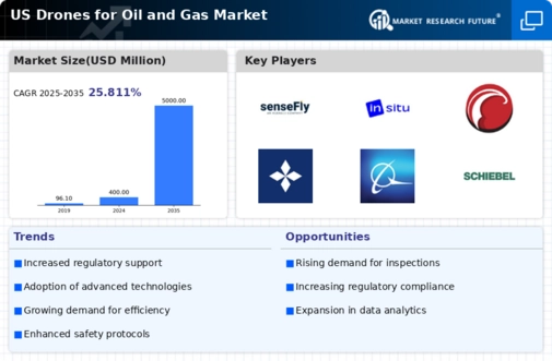 US Drones for Oil Gas Market Infographic