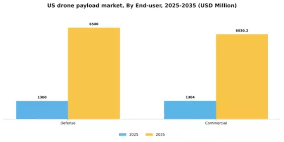 US Drone Payload Market Segment Image 1