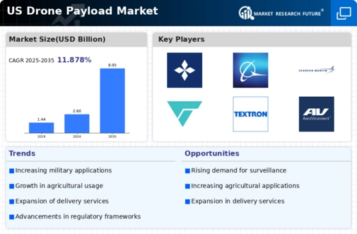 US Drone Payload Market Infographic