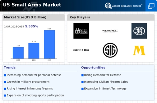 US Small Arms Market Infographic