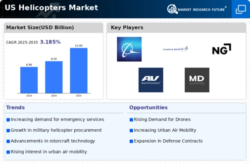 US Helicopters Market Infographic