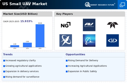 US Small UAV Market Infographic