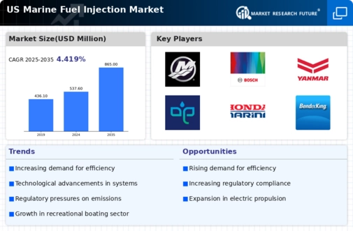 US Marine Fuel Injection Market Infographic