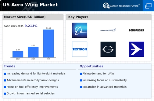 US Aero Wing Market Infographic