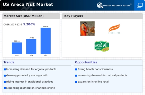 US Areca Nut Market Infographic