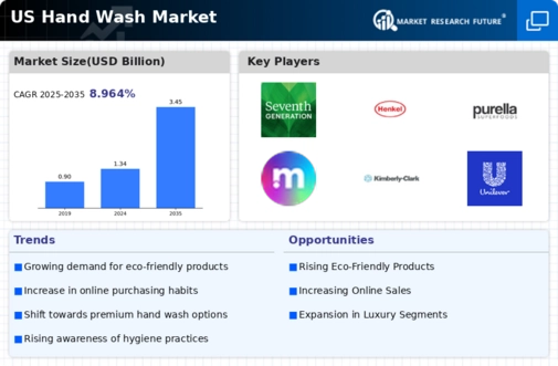 US Hand Wash Market Infographic