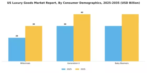 US Luxury Goods Market Segment Image 0