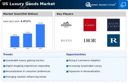 US Luxury Goods Market Infographic