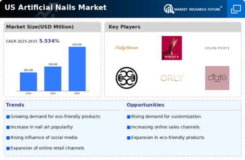 US Artificial Nails Market Infographic