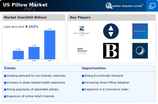 US Sleeping Pillow Market Infographic