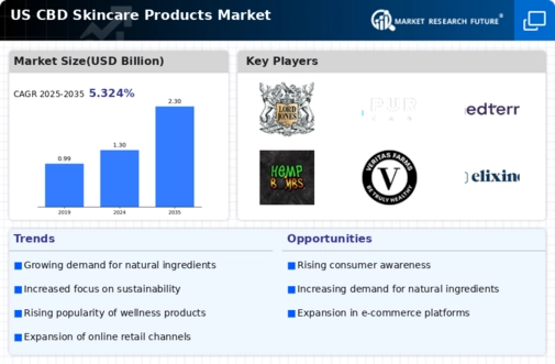 US CBD Skincare Products Market Infographic