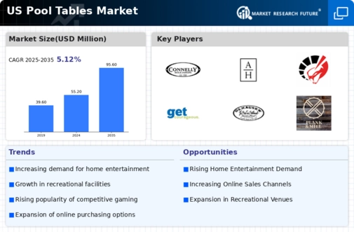 US Pool Tables Market Infographic