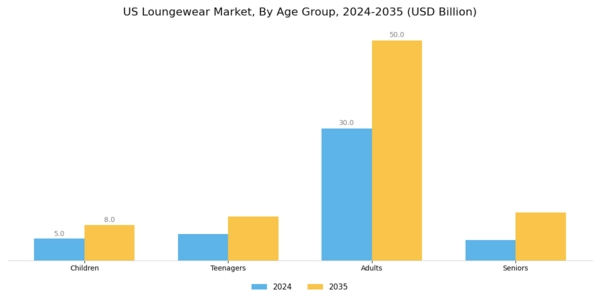US Loungewear Market Segment Image 3