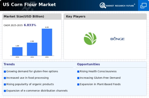 US Corn Flour Market  Infographic