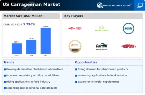 US Carrageenan Market Infographic