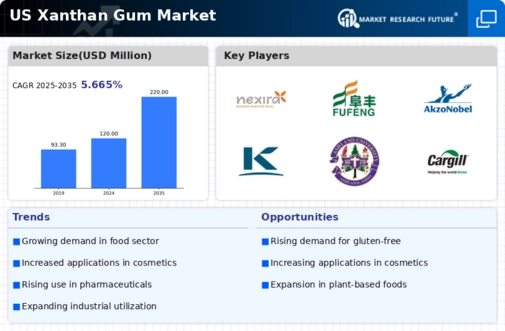 US Xanthan Gum Market Infographic