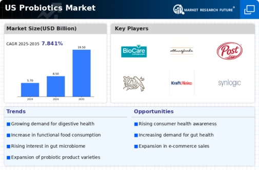 US Probiotics Market  Infographic