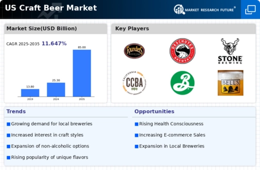 US Craft Beer Market  Infographic