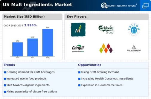 US Malt Ingredients Market Infographic