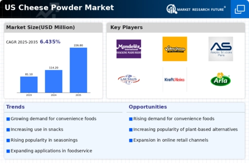 US Cheese Powder Market Infographic