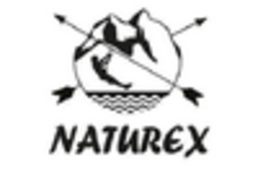 US Carotenoids Market  key player