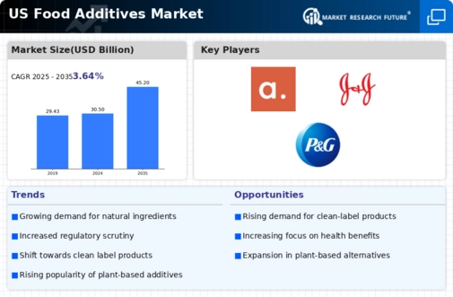 US Food Additives Market Infographic