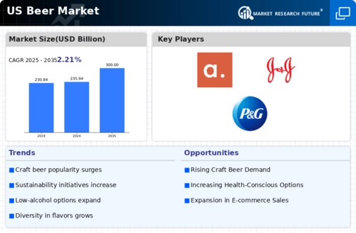 US Beer Market Infographic