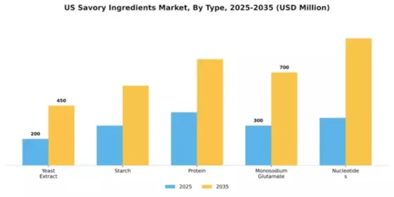 US Savory Ingredients Market Segment Image 2
