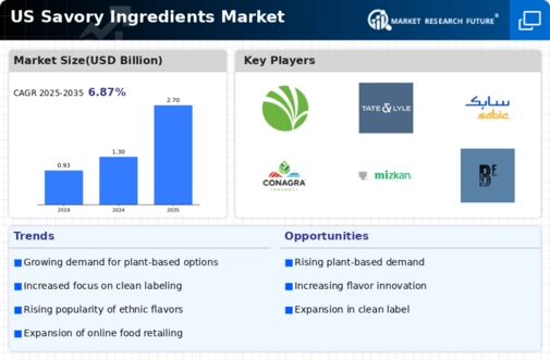 US Savory Ingredients Market Infographic