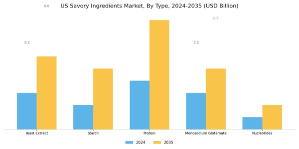 US Savory Ingredients Market Segment Image 0