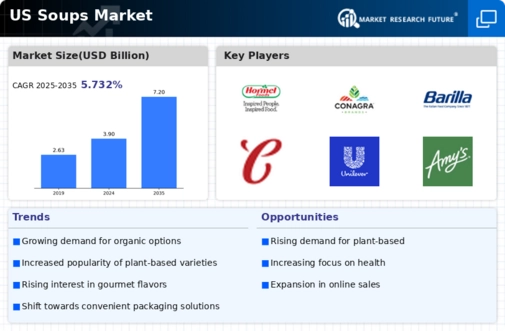 US Soups Market Infographic