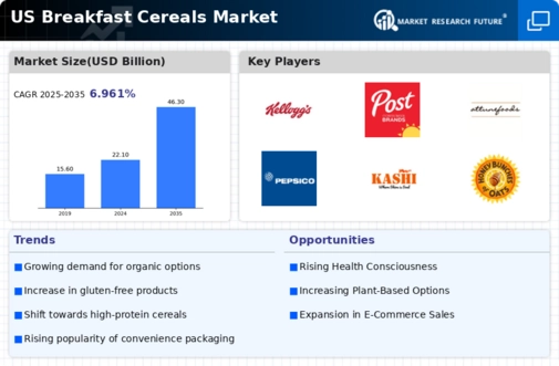 US Breakfast Cereals Market Infographic