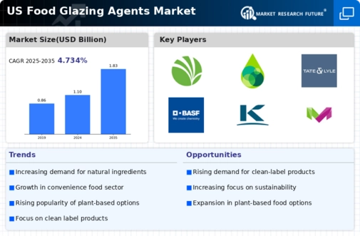 US Food Glazing Agents Market Infographic