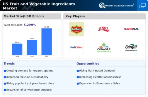 US Fruit Vegetable Ingredients Market Infographic