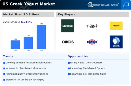 US Greek Yoghurt Market Infographic