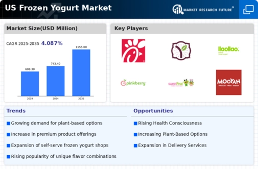US Frozen Yogurt Market Infographic