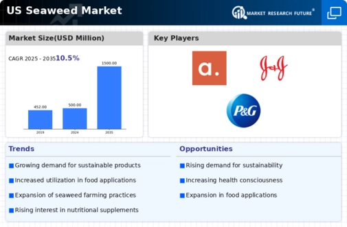 US Seaweed Market Infographic