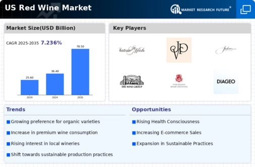 US Red Wine Market Infographic