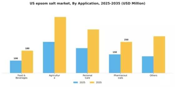 US Epsom Salt Market Segment Image 0