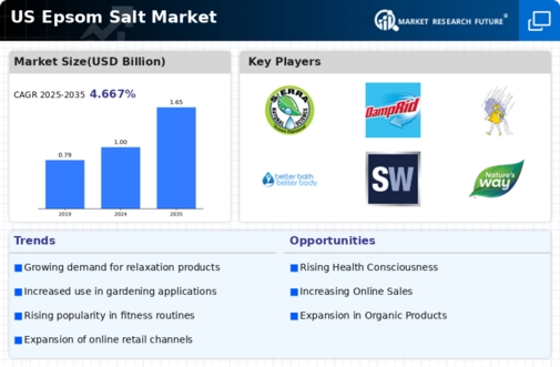 US Epsom Salt Market Infographic