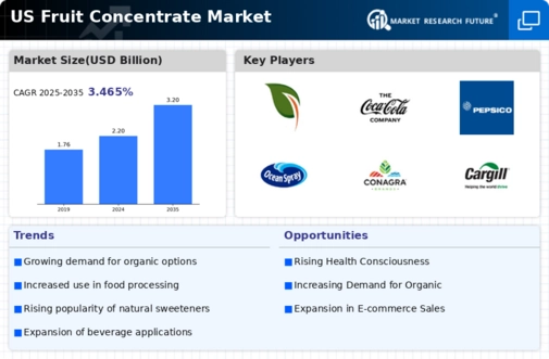 US Fruit Concentrate Market Infographic