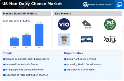 US Non-dairy cheese Market Infographic