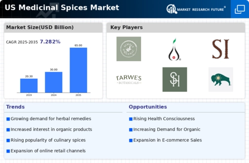 US Medicinal Spices Market Infographic