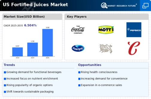 US Fortified Juices Market Infographic