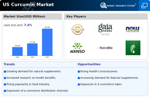US Organic Curcumin Market Infographic