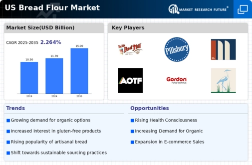 US Bread Flour Market Infographic