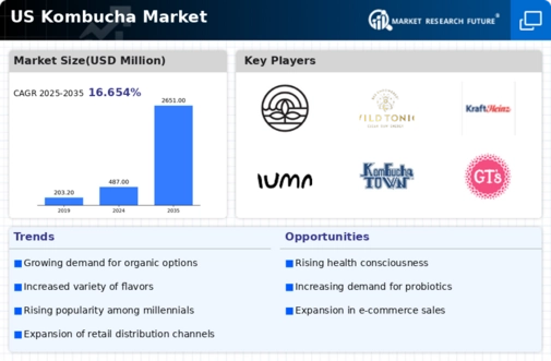 US US Kombucha Market Infographic